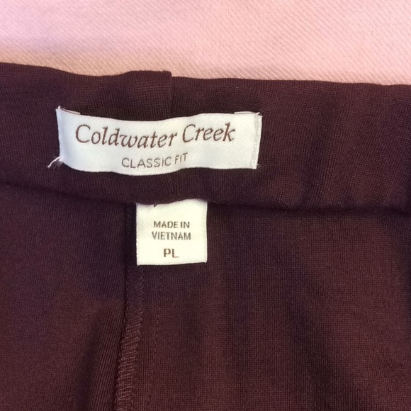 FINAL SALE PRICE Coldwater Creek Pant Suit Set - Picture 5 of 8